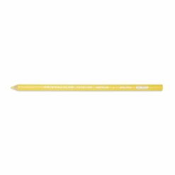 Premium Colored Pencil - Citrus