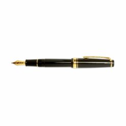 slim fountain pen with gold accents