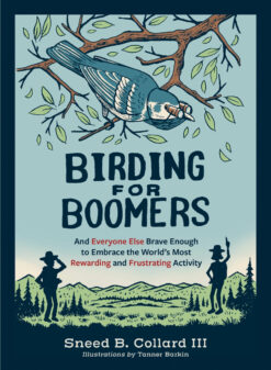 Bird Watching Guide for Beginners