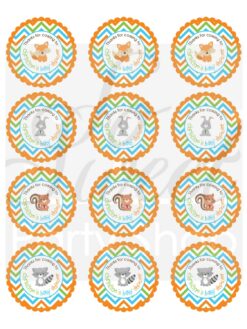 Nature-themed Baby Shower Decorations