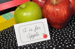 Back to School Party Decorative Stickers