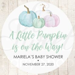 Baby Shower Favor Stickers - Gender Reveal Set