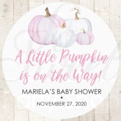 Baby Shower Favor Stickers Set of 24