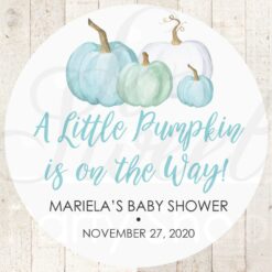 Baby Shower Favor Stickers Set of 24