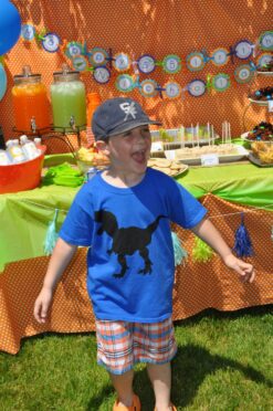 Dinosaur Theme Birthday Party Decorations Set of 24