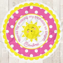Sunshine and Pink Lemonade Birthday Party Stickers Set of 24