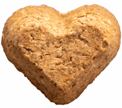 Soft Baked Dog Birthday Treats