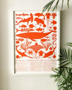 Coastal Marine Life Poster