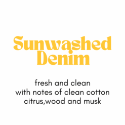Concentrated Cleaning Solution
