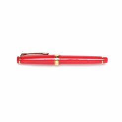 slim elegant fountain pen medium fine