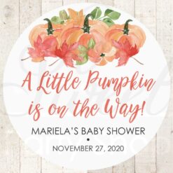 Baby Shower Favor Stickers Set of 24