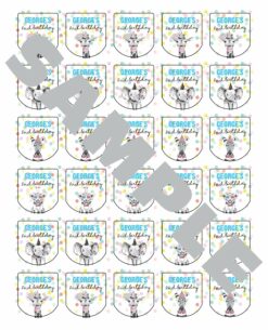 Birthday Party Sanitizer Labels Set of 30
